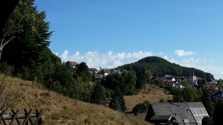 Blick von der Terrasse aufs "Kieferne Keppel"